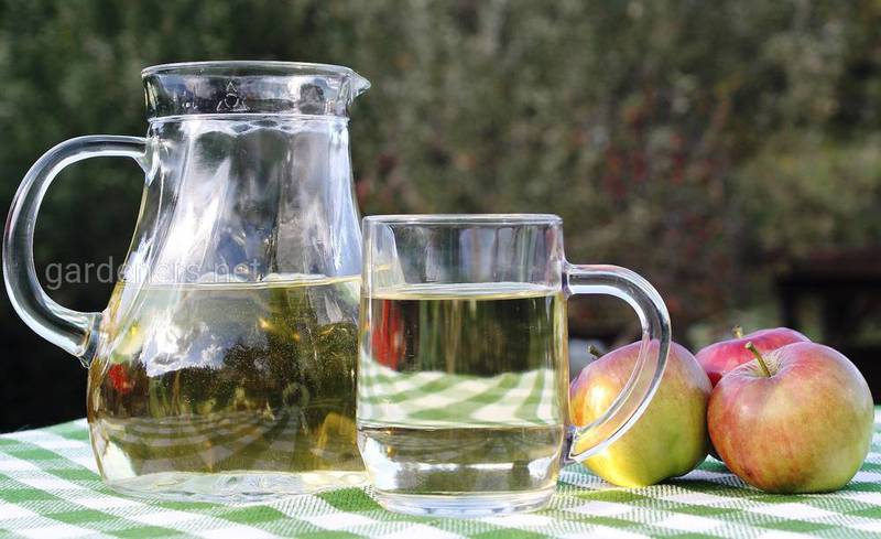 Рецепты. Кулинария