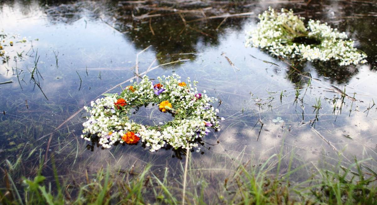 Волшебный венок на Ивана Купала в Мариуполе - где найти 12 полевых цветов? (ФОТО)