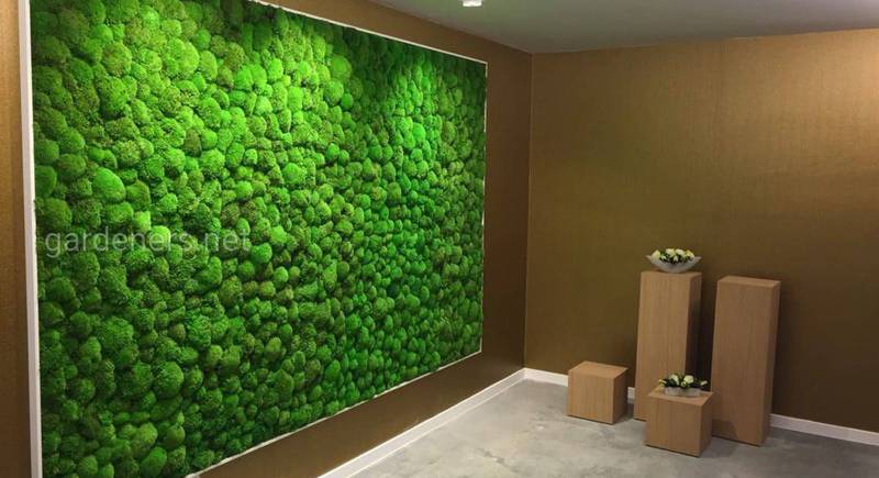 Зелена стіна в інтер'єрі: як її створити