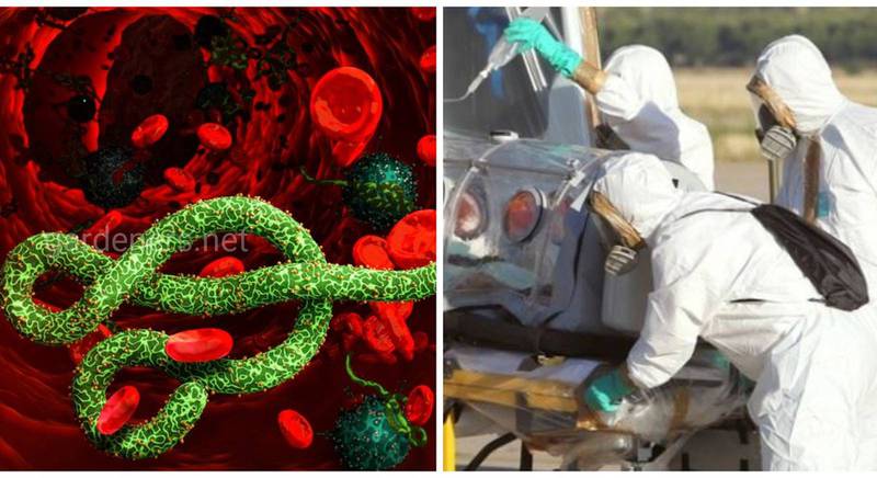 Геморагічна лихоманка Ебола - гостре вірусне захворювання з тяжкими наслідками та високим рівнем смертності