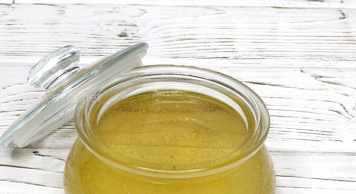 Чому деякі сорти меду можуть довго залишатися рідкими