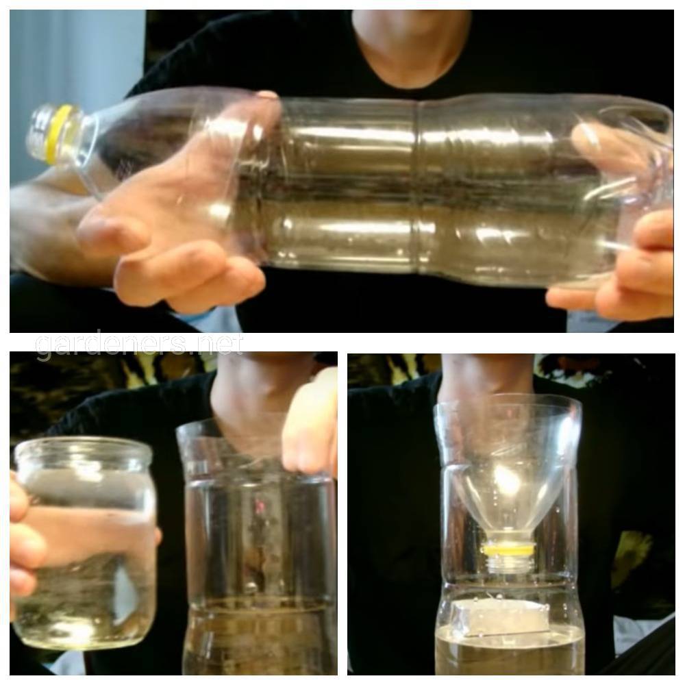Ловушка для мух из пластиковых бутылок