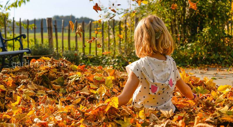 Топ забав для дітей у саду восени: популярні ігри та захоплюючі розваги