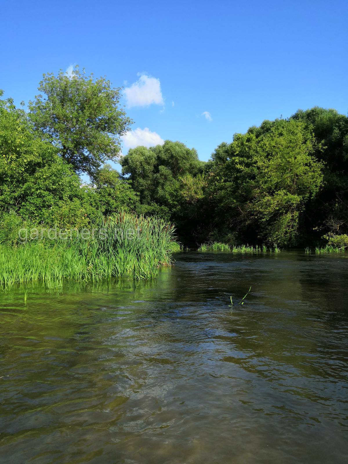 Барковка река