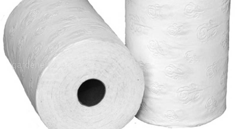 Бумажные полотенца как способ избежать размножение бактерий.