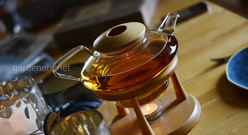 Традиції та культура чаювання в різних країнах світу: цікаві факти