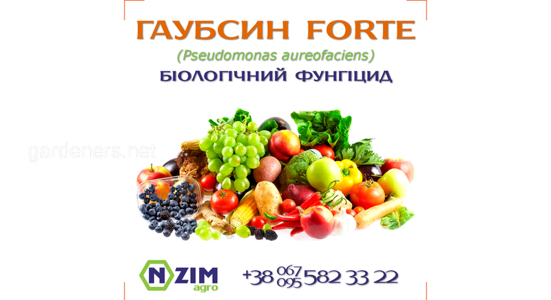 Гаубсин FORTE ENZIM Agro - Фунгицид