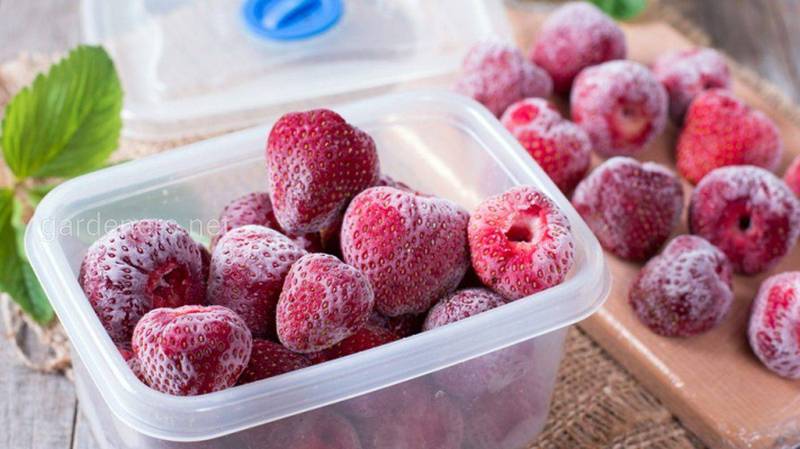 Рецепт: як заморозити полуницю в цукрі! 