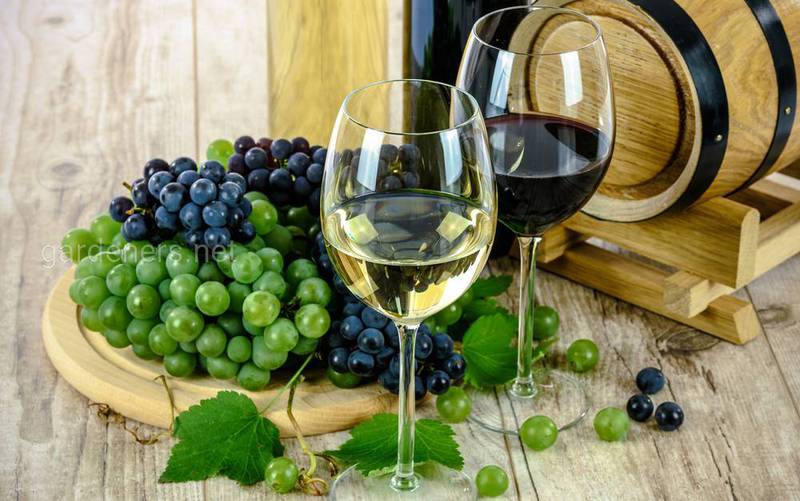 Какие элементы способствуют цветению винограда?