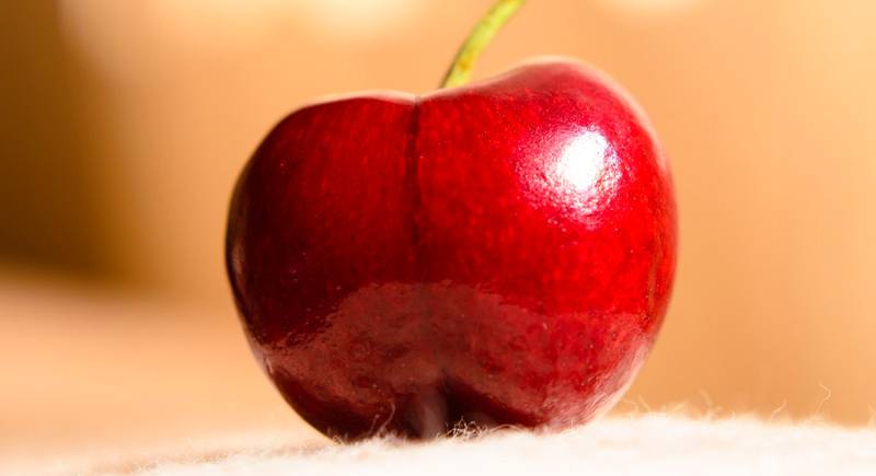 Вишня - ягода, вкус которой на миг переносит нас в детство