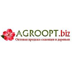 Компания AGROOPT