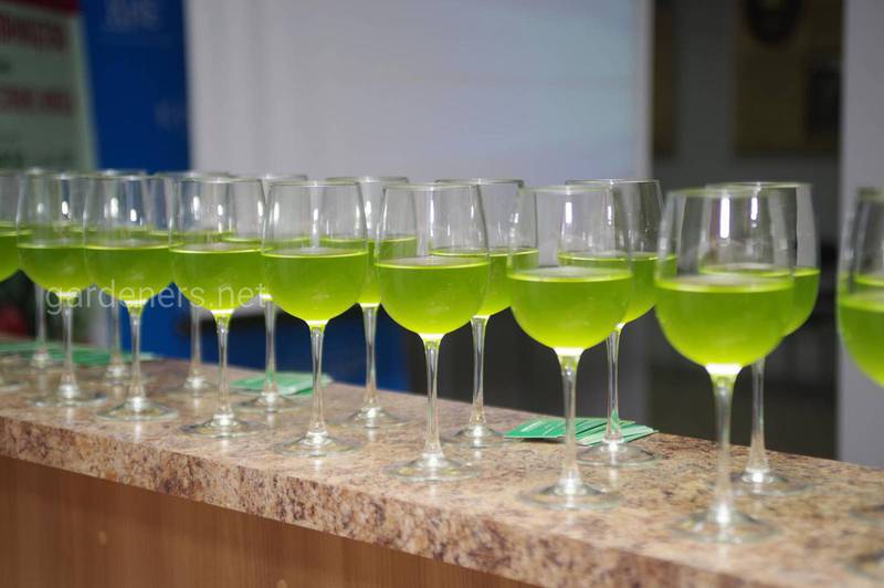 Зеленые коктейли на основе хлореллы