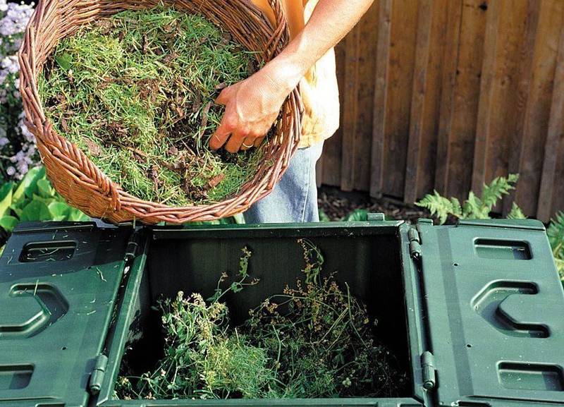 Сад и огород