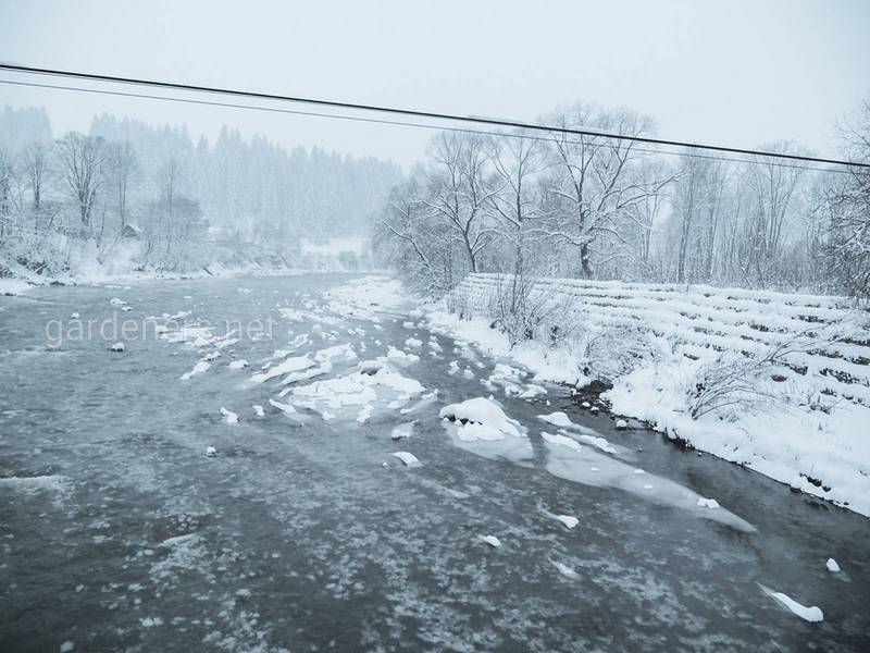 Загородная жизнь