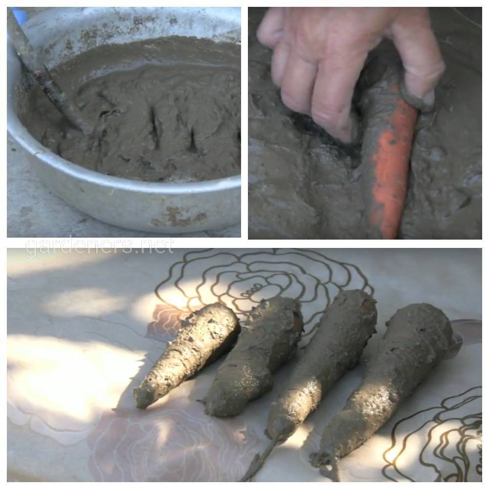 хранение моркови в глине