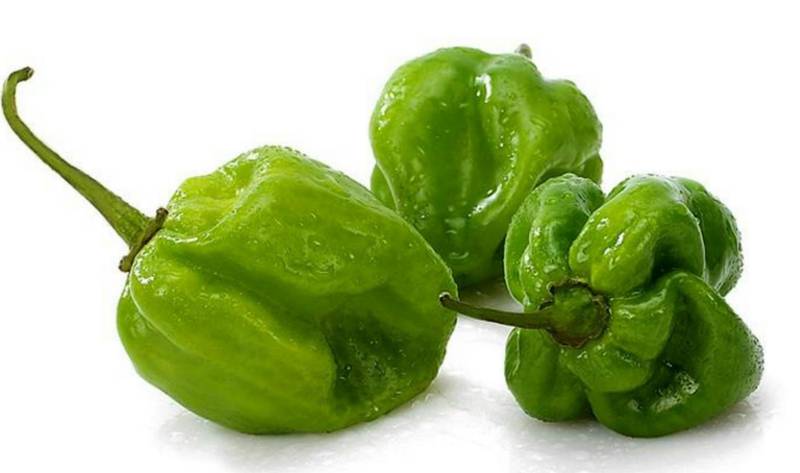 Острый перец