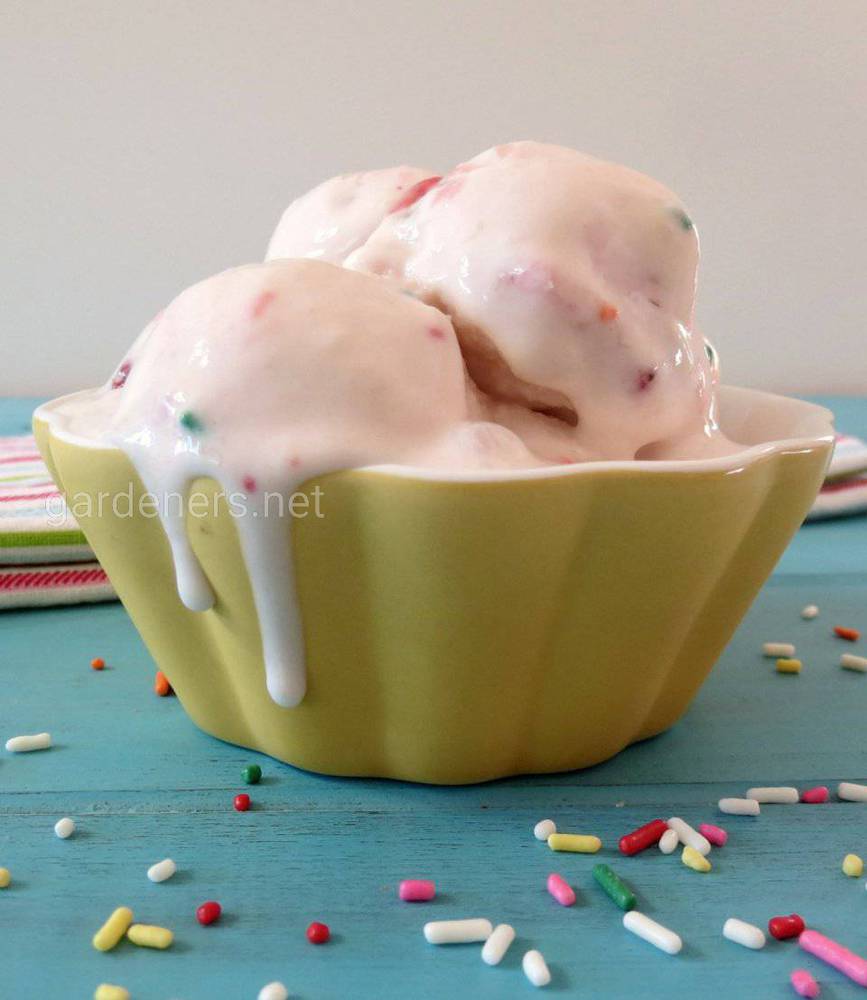 Фруктово-йогуртовое мороженое