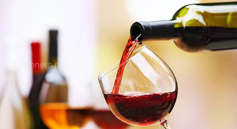 Как отличить натуральное вино от искусственного?