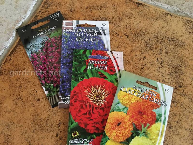 Сад и огород