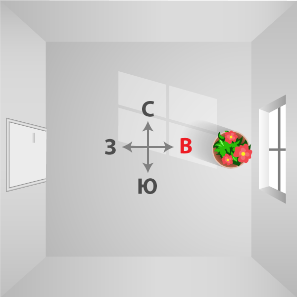 Встречи, мероприятия, фото компаний