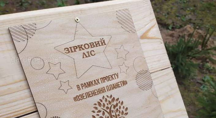 В Киеве высадили «Звездный лес» 