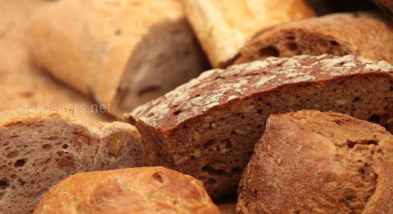 Три правила і п’ять простих кроків в приготуванні домашнього хліба