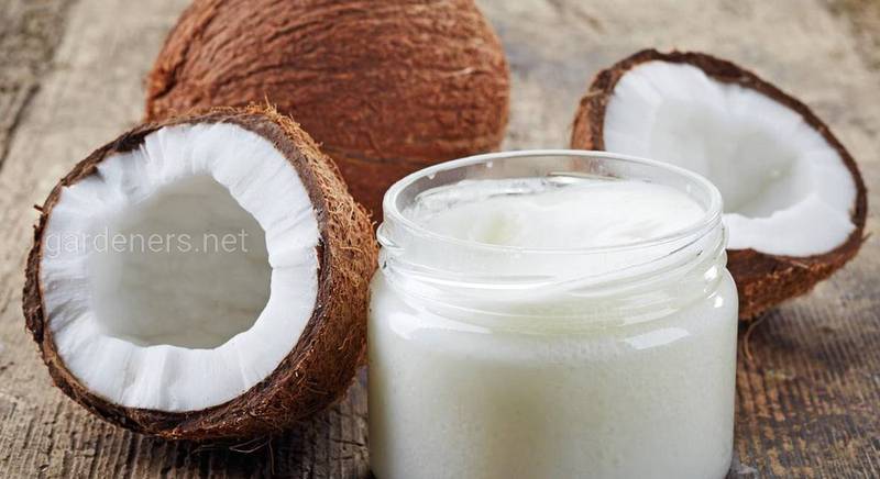 Як самостійно зробити кокосове молоко з стружки