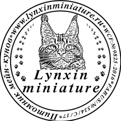 Lynxin miniature