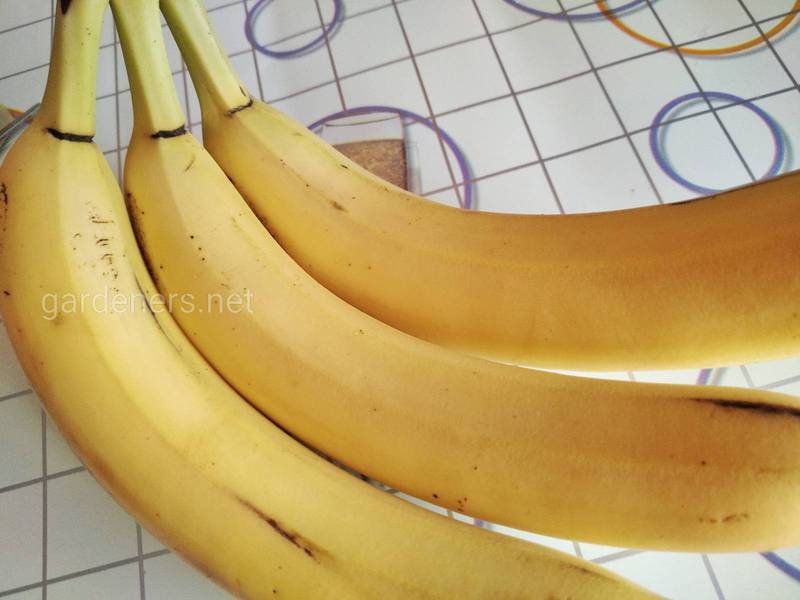 Как можно законсервировать банан 