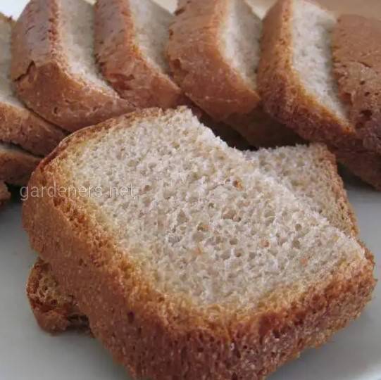 Рецепт хлеба из светлой полбы