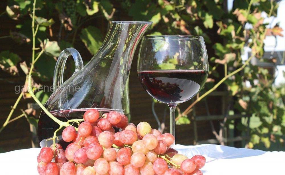 Виноградне вино