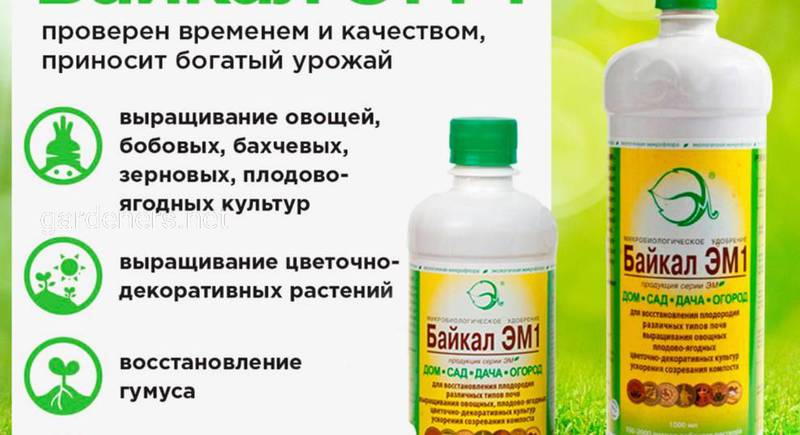 Байкал ЕМ-1: особливості застосування препарату