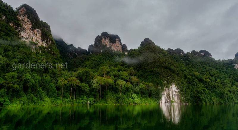 Кхао Сок — национальный парк