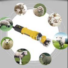 Оборудование для стрижки овец