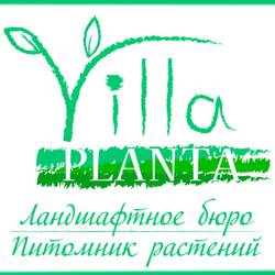 Питомник растений "Вилла планта"