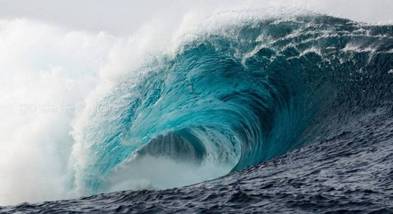 15 интересных фактов о цунами