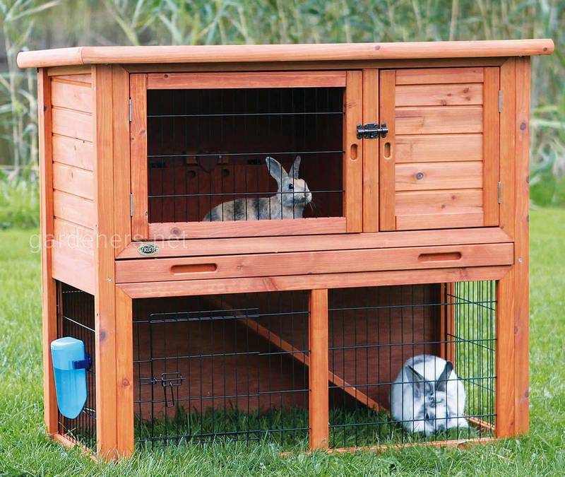 Как правильно обустроить клетки для кроликов?