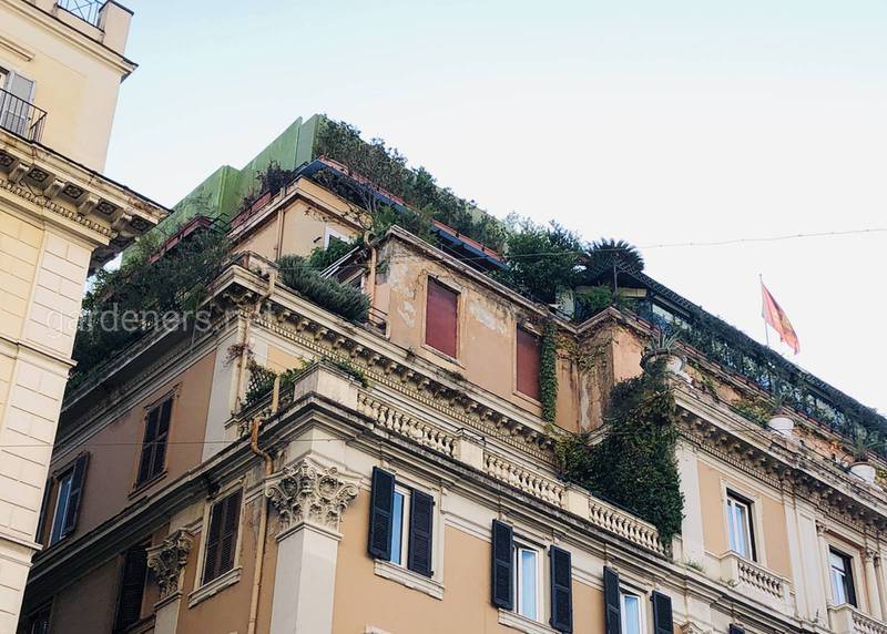 Растительный дизайн Grand Hotel Plaza в Риме
