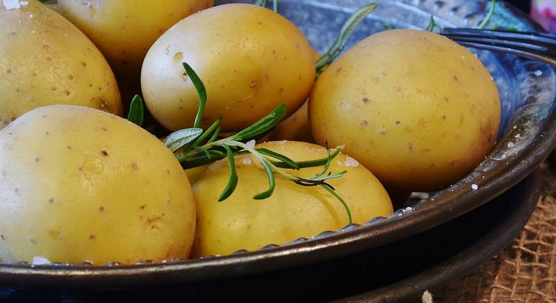 Вибираємо сорти картоплі для смаження та варіння