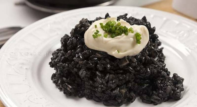 Чорний рис, смачна страва в Іспанії
