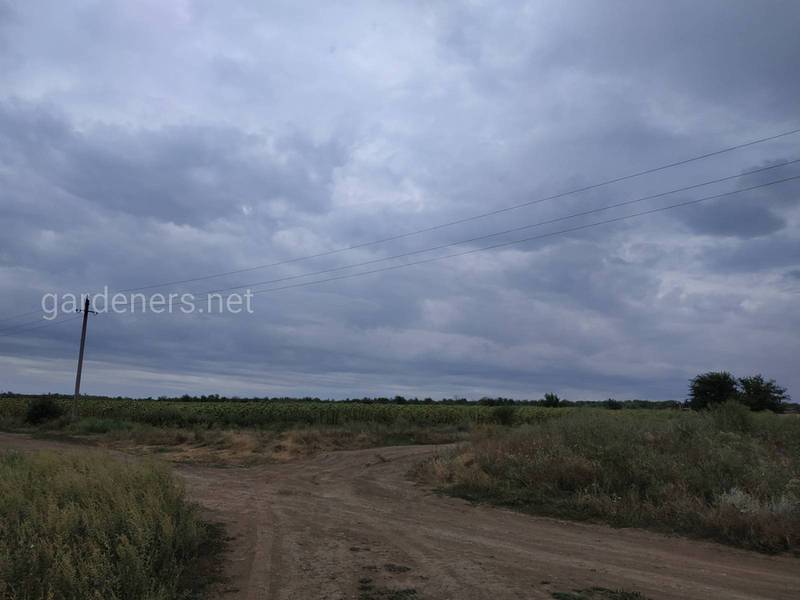 Загородная жизнь