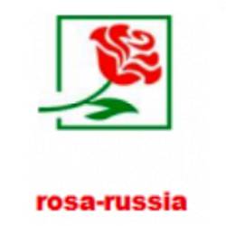 Оптовая компания "Роза России"