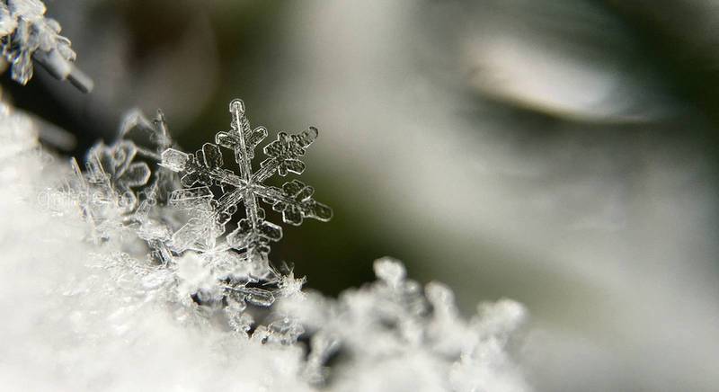Зимові небезпеки: переохолодження, обмороження, надзвичайні та тривалі морози
