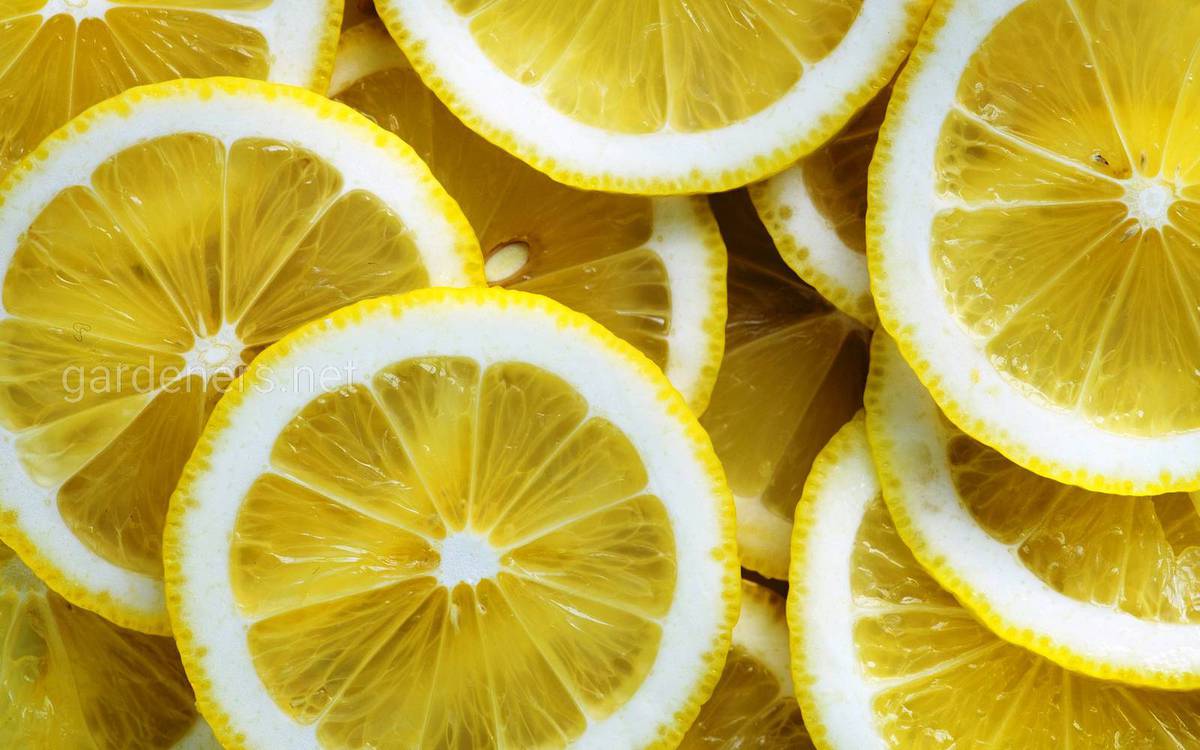 лимон как отбеливатель