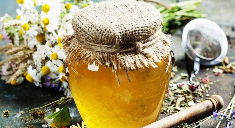 13 интересных фактов про мёд