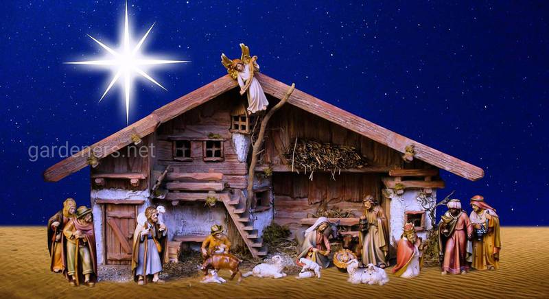 7 января – Православное Рождество: главные традиции празднования, украшения. Ориентировочное меню для Святвечера