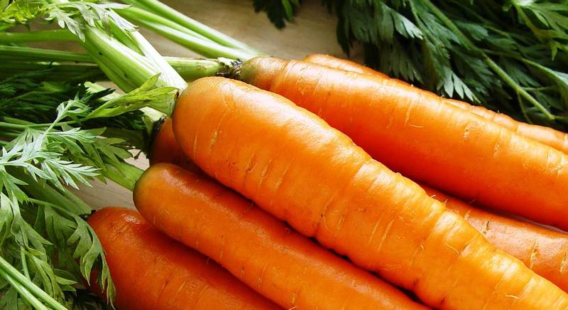 ТОП 5 самых крупных сортов моркови