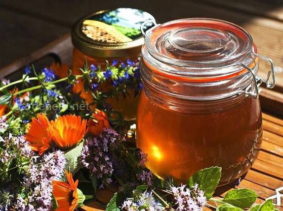Какими лечебными свойствами обладает мед из шалфея?