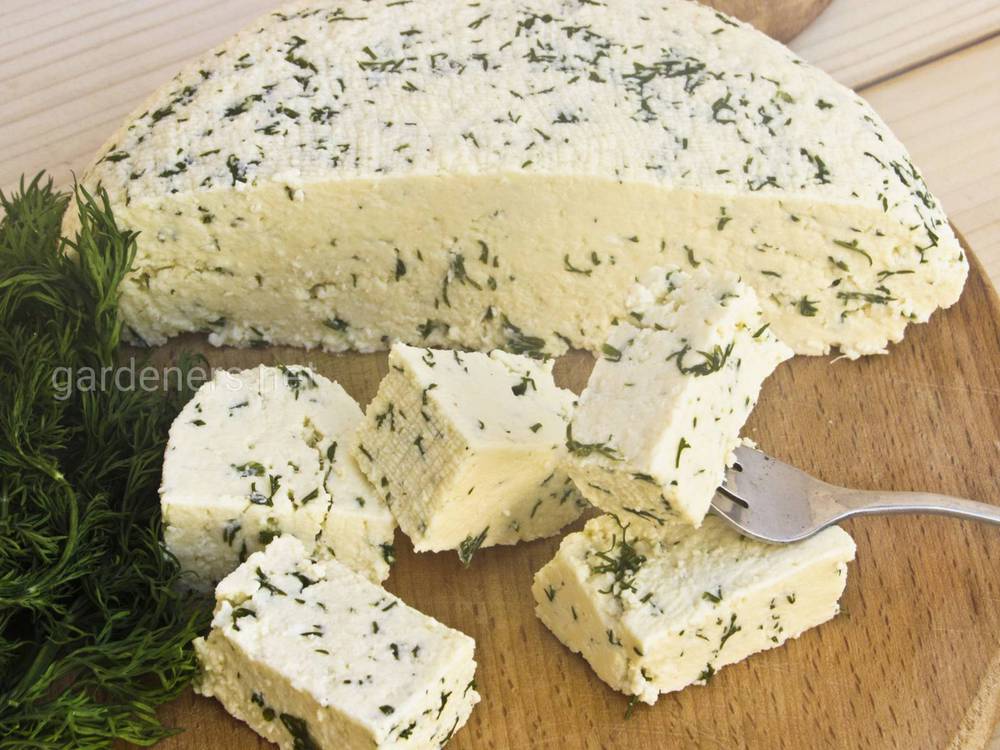 Как приготовить сыр в домашних условиях