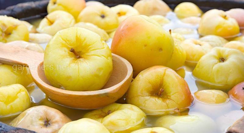 Як приготувати яблучний оцет в домашніх умовах?